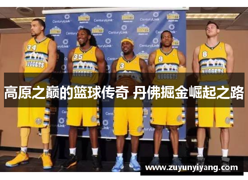 高原之巅的篮球传奇 丹佛掘金崛起之路