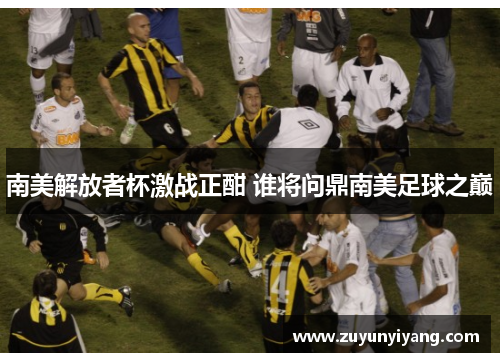 南美解放者杯激战正酣 谁将问鼎南美足球之巅