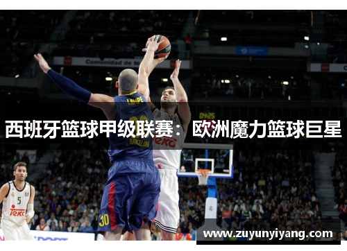 西班牙篮球甲级联赛：欧洲魔力篮球巨星