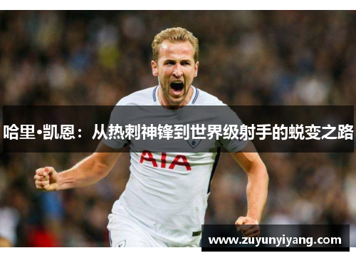 哈里·凯恩：从热刺神锋到世界级射手的蜕变之路