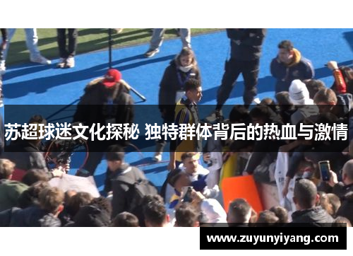 苏超球迷文化探秘 独特群体背后的热血与激情