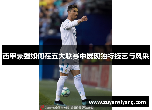 西甲豪强如何在五大联赛中展现独特技艺与风采