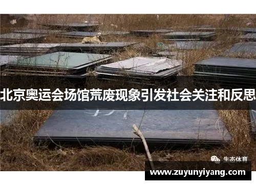 北京奥运会场馆荒废现象引发社会关注和反思